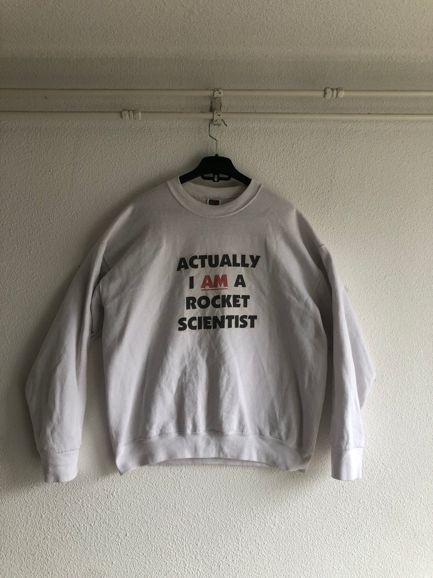 Fruit of the Loom "Actually, I AM a Rocket Scientist" Sweater