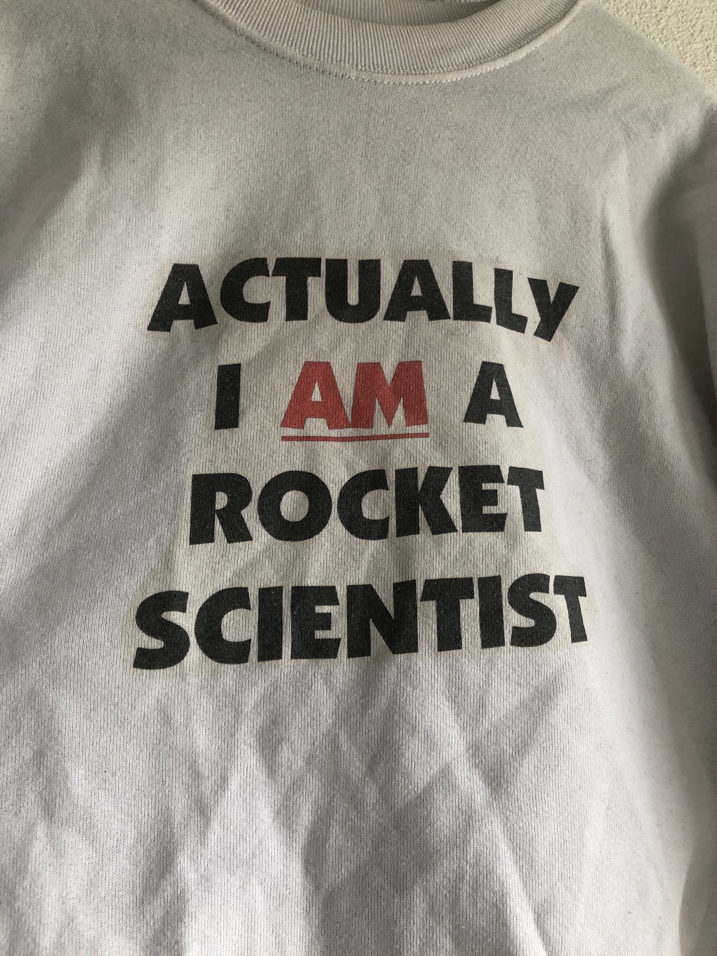 Fruit of the Loom "Actually, I AM a Rocket Scientist" Sweater